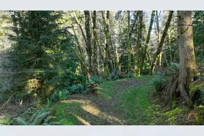 Vl Lyngstad Heights Ln #1902, Astoria, OR 97103 - Photo 11