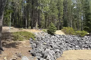 141239 Red Cone Dr, Crescent Lake, OR 97733 - Photo 37
