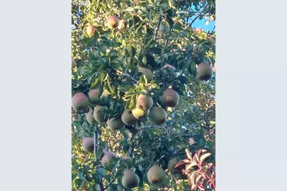 704 Residence St, Enterprise, OR 97828 - Photo 15