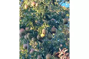 704 Residence St, Enterprise, OR 97828 - Photo 15