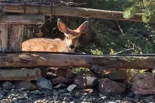 704 Residence St, Enterprise, OR 97828 - Photo 17