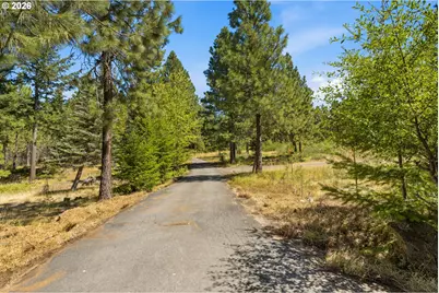 14 Westside Rd, Trout Lake, WA 98650 - Photo 37