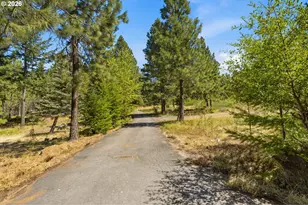 14 Westside Rd, Trout Lake, WA 98650 - Photo 37