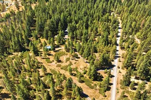 14 Westside Rd, Trout Lake, WA 98650 - Photo 47