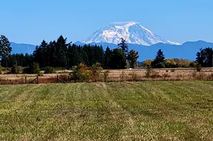 180 Rodeo Ln, Toledo, WA 98591 - Photo 33