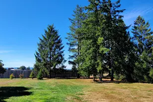 180 Rodeo Ln, Toledo, WA 98591 - Photo 31
