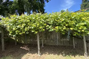 11533 SE Market St, Portland, OR 97216 - Photo 23