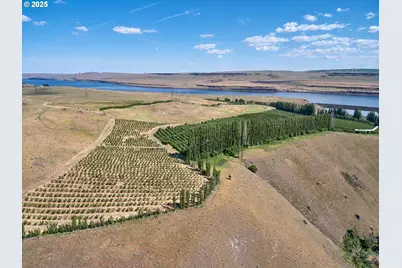 17 Sundale Dr, Roosevelt, WA 99356 - Photo 5