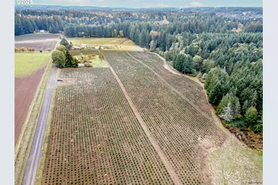 29795 SE Gruber Rd, Estacada, OR 97023 - Photo 45