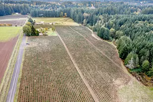 29795 SE Gruber Rd, Estacada, OR 97023 - Photo 45