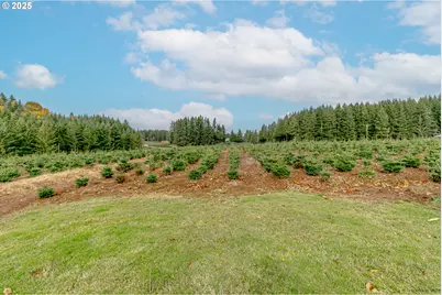 29795 SE Gruber Rd, Estacada, OR 97023 - Photo 35
