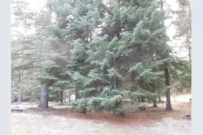 78228 Snowshoe Ln, Weston, OR 97886 - Photo 7