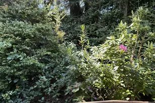 665 Village Pines Dr, Coos Bay, OR 97420 - Photo 21
