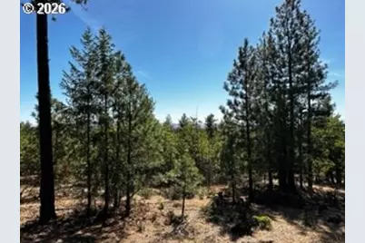1 Orchard Heights Rd, Goldendale, WA 98620 - Photo 3