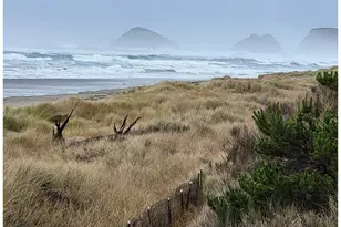 505 Capes Dr, Oceanside, OR 97134 - Photo 37