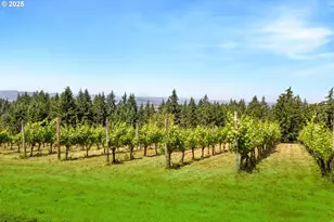 8580 SE Hillview Dr, Amity, OR 97101 - Photo 45