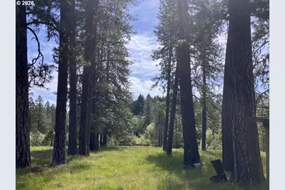 120 Ken Rose Ln, Cave Junction, OR 97523 - Photo 41