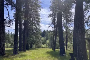 120 Ken Rose Ln, Cave Junction, OR 97523 - Photo 41