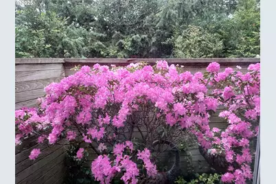 53 Shoreline Dr, Florence, OR 97439 - Photo 35