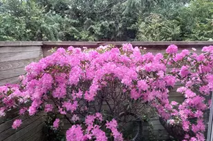 53 Shoreline Dr, Florence, OR 97439 - Photo 35