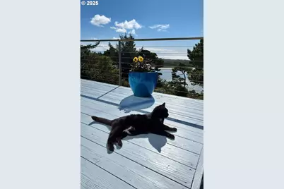 53 Shoreline Dr, Florence, OR 97439 - Photo 35