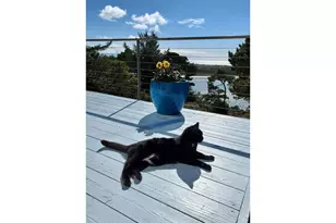 53 Shoreline Dr, Florence, OR 97439 - Photo 35