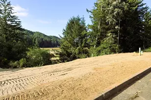 806 Goldenrod Ct, Reedsport, OR 97467 - Photo 1