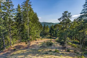 244 Lyons Rd, White Salmon, WA 98672 - Photo 41