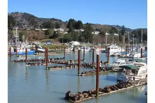 16319 Lower Harbor Rd, Brookings, OR 97415 - Photo 11