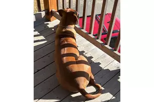 16319 Lower Harbor Rd, Brookings, OR 97415 - Photo 27