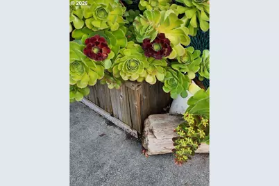 16319 Lower Harbor Rd, Brookings, OR 97415 - Photo 5