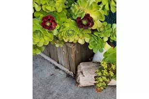 16319 Lower Harbor Rd, Brookings, OR 97415 - Photo 5