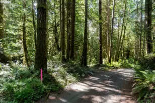 1781 E Sunset Hill Rd, Shelton, WA 98584 - Photo 1