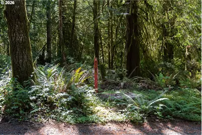 1781 E Sunset Hill Rd, Shelton, WA 98584 - Photo 3