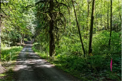 1781 E Sunset Hill Rd, Shelton, WA 98584 - Photo 5