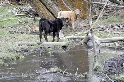 37799 Alder Creek Rd, Baker City, OR 97814 - Photo 45