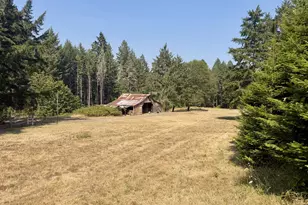 425 Tigerlily Ln, Oakland, OR 97462 - Photo 35