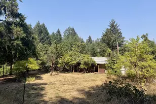 425 Tigerlily Ln, Oakland, OR 97462 - Photo 29