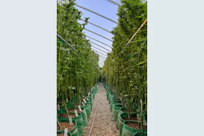 40801/40809 SE Trubel Rd, Sandy, OR 97055 - Photo 19