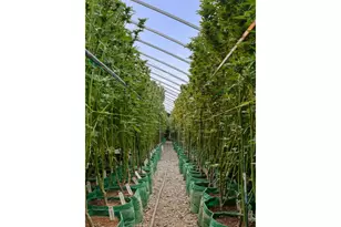 40801/40809 SE Trubel Rd, Sandy, OR 97055 - Photo 19