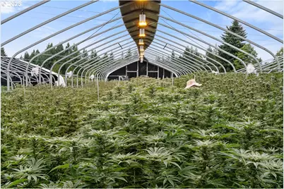 40801/40809 SE Trubel Rd, Sandy, OR 97055 - Photo 15