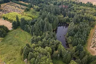 40801/40809 SE Trubel Rd, Sandy, OR 97055 - Photo 7