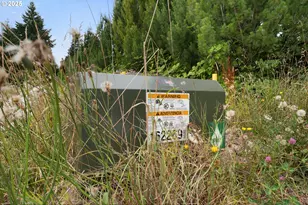 40801/40809 SE Trubel Rd, Sandy, OR 97055 - Photo 21