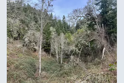 State Highway 138, Oakland, OR 97462 - Photo 31