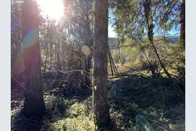 State Highway 138, Oakland, OR 97462 - Photo 9