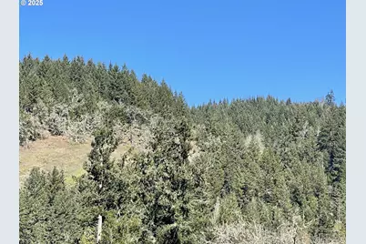 State Highway 138, Oakland, OR 97462 - Photo 43