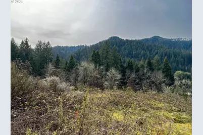 State Highway 138, Oakland, OR 97462 - Photo 35