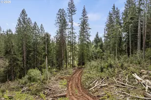 25402 S Schockley Rd, Beavercreek, OR 97004 - Photo 5