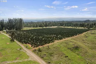 25402 S Schockley Rd, Beavercreek, OR 97004 - Photo 3