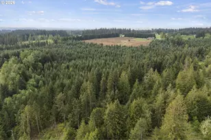 25402 S Schockley Rd, Beavercreek, OR 97004 - Photo 9